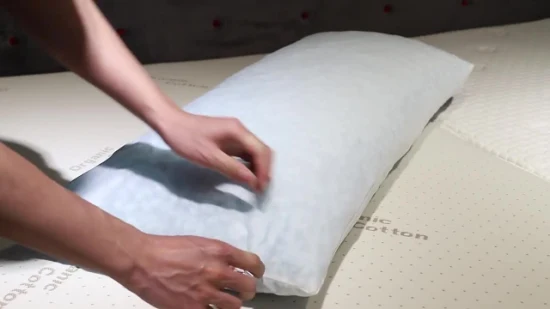 A cama refrigerando da espuma da memória descansa o tamanho padrão com tampa removível lavável