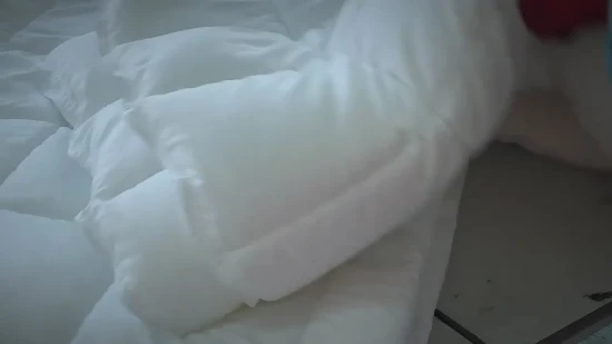 China Fabricante Atacado de microfibra escovada 3D Siliconized oco poliéster Fiberfill Hotel / Casa Cama Edredom de dormir Inserção de edredom